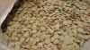 Green lentils of Russi...