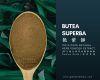 PURE NATURAL BUTEA SUPERBA HERB POWDER EXTRACT ( PREMIUM GRADE )