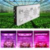 BrightSun best full spectrum led grow light 850w seedling/veg/bloom dimmable medical plant growlight