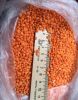 Red Lentils, Red Whole...