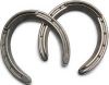 Carbide Horseshoe Studs