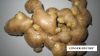 fresh ginger, charcoal...