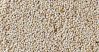 Sesame seeds