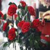 Preserved Rose Flower Box The Big Prince for Beautiful Gifts