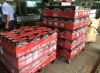 Top quality auto batteries