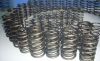large wire diameter sp...
