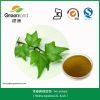 Ivy extract powder wit...