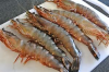 Fresh/Frozen Seafood