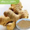 Ginger Extract