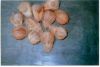 coconut,copra,coconut ...