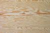 Commercial Plywood