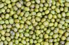 Mung Beans