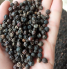 Very Good Black Black ...