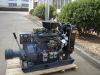 Stationary Diesel Engine model TN495AG