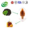 ISO factory good water solubility instant black tea extract 