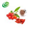 ISO factory NingXia 50% goji berry extract powder/lycium extract