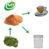 Factory manufacuturer 100% pure natural green tea extract