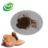 ISO factory high quality reishi mushroom extract