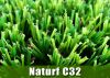 Landscape Grass Naturf C32