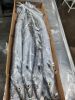 Frozen - RIBBONFISH - ...