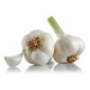 Fresh Garlic With Auth...