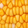 Clean And Dry Yellow C...
