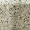 Parboiled Basmati Rice...