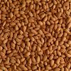Roasted Almond Nuts Wi...