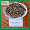 Yunnan Arabic Green Co...