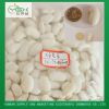 White Kidney Beans 65-...