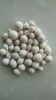 Single Clove Garlic (Solo Garlic)