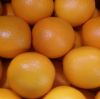 Fresh Navel Oranges, v...