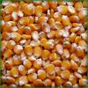 Natural Yellow Dried C...