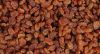 Indian Golden Raisins