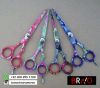 Professional Barber Hair Scissors
