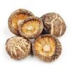 shiitake mushrooms