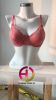 Red Embroidered Bra Br...