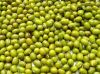 Green Mung Beans 