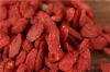 Dried Fruits Wolfberry Berries Goji