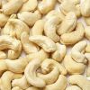 Sweet Raw Cashew Nuts ...
