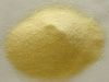 Hard Durum Wheat Semolina Flour 