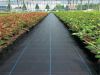 PP Ground Cover | woven ground cover