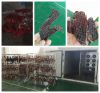 Commercial drying equipment for meat/meat dehydrator 