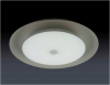 LED Bluetooth Music Plafond Light