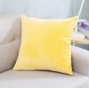 yoyoKMC Solid Velvet Throw Pillow Cover/Euro Sham/Cushion Sham, Super Luxury Soft Pillow Cases, Many Color & Size options