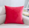 yoyoKMC Solid Velvet Throw Pillow Cover/Euro Sham/Cushion Sham, Super Luxury Soft Pillow Cases, Many Color & Size options