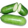 Winter Melon