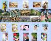 Customized Wallet Pict...