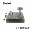 DWT oil piston dead weight tester for pressure gauges transmitters