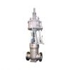 400H Parallel Slide Valves